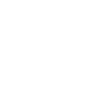 em logo white